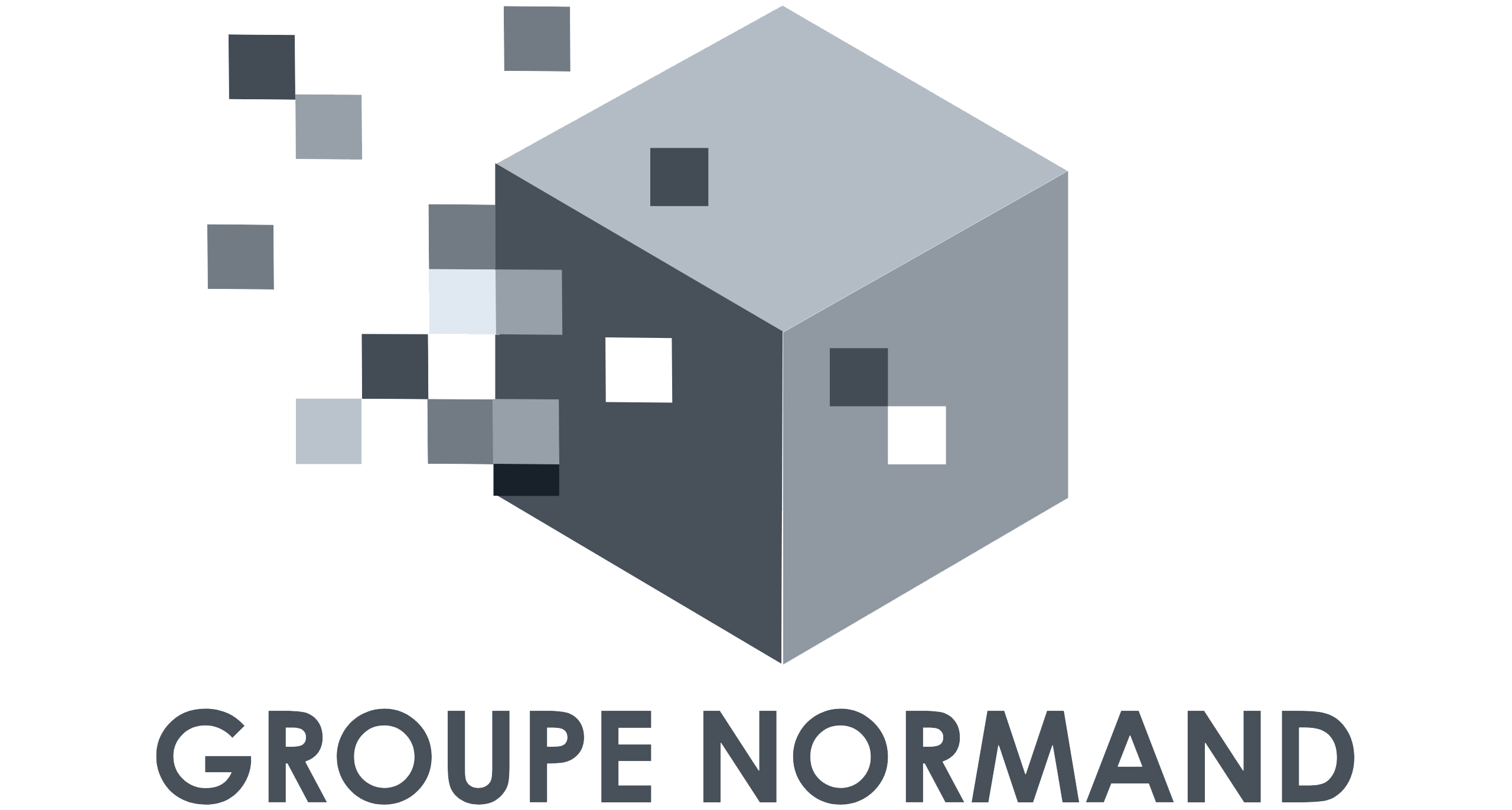 logo-groupe-normand-gris